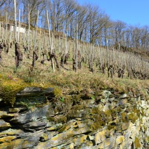 Trockenmauer unterhalb einer Weinanbaufläche in Obernhof. Foto_Stefan Eschenauer.JPG